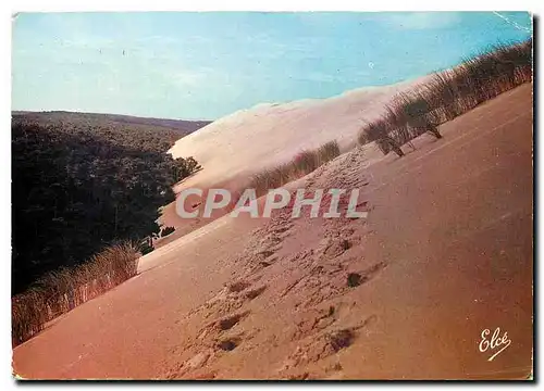 Cartes postales moderne  Bassin d'Arcachon (Gironde) La Dune du Pyla