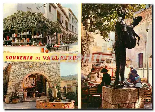 Cartes postales moderne Au soleil de la Cote d'Azur Vallauris