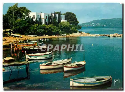 Cartes postales moderne Couleurs et Lumiere de France La Cote d'Azur miracle de la nature Cap d'Antibes (A Mmes)