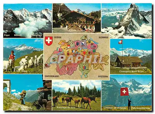 Cartes postales moderne Suisse Chevre Chevaux Jura