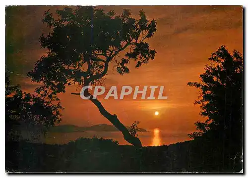 Cartes postales moderne Cote d'Azur France coucher de soleil en Mediterranee