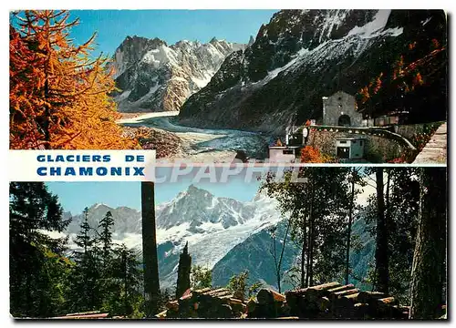 Cartes postales moderne Les environs de Chamonix Mer de glace et glacier des Bossons