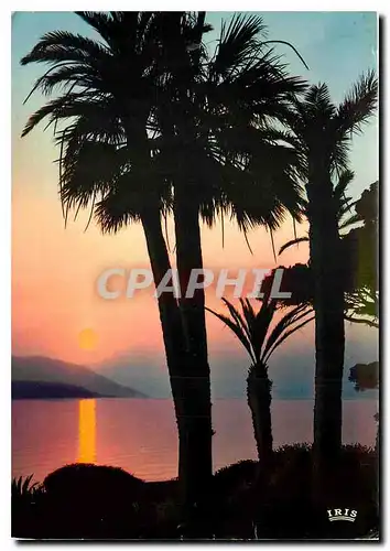 Cartes postales moderne Reflets de la cote d'Azur coucher de Soleil