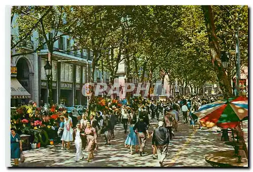 Cartes postales moderne Barcelona La Populaire Rambla de las Flores