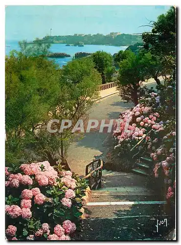 Cartes postales moderne Couleurs et Lumiere de France Pays Basque Biarritz (Basses Pyrenees) Promenade sur le promontoir
