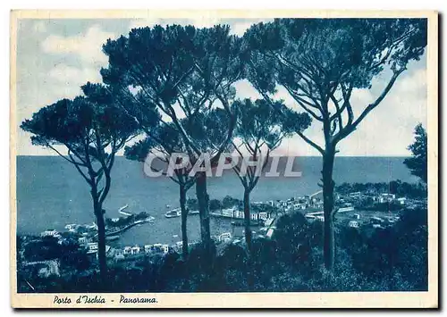 Cartes postales moderne Porto d'Ischia Panorama