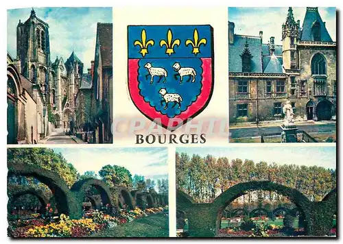 Cartes postales moderne Bourges La Cathedrale Le Palais Jacques  les Pres Fichaux