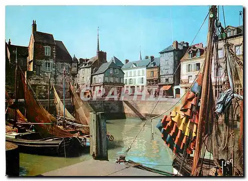 Cartes postales moderne Couleurs et Lumiere de France La Luxuriante Normandie Honfleur (Calvados) Bassin de la Lieutenan