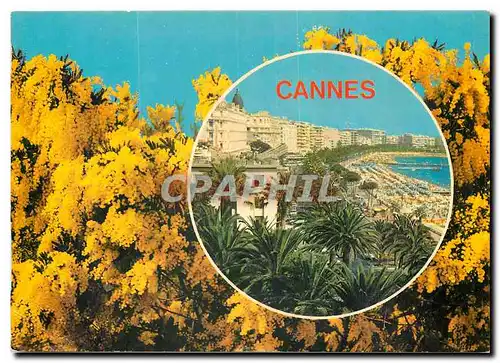 Moderne Karte La Cote d'Azur Souvenir de Cannes