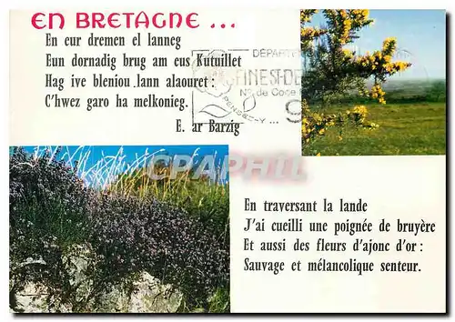 Cartes postales moderne La Bretagne en Couleurs