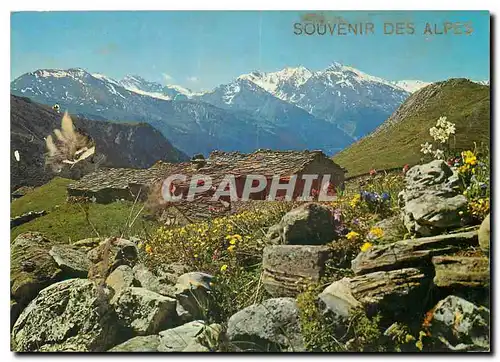 Moderne Karte Vieux Chalets en haute Montagne