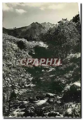 Cartes postales moderne Mont Dore les Bains (P de D) La Dordogne au Pied du Sancy (1886 m)