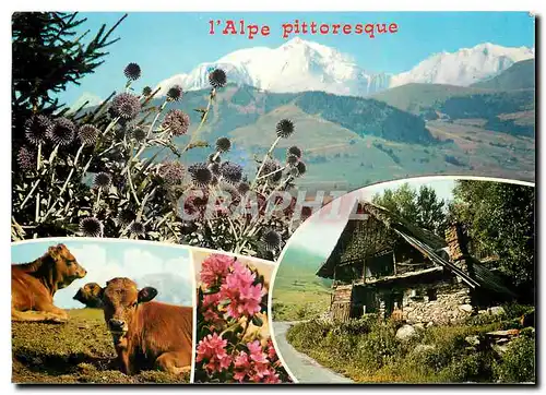 Cartes postales moderne Paysages des Alpes Vache