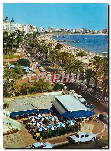 Cartes postales moderne Couleurs et Lumiere de France Le Cote d'Azur miracle de la nature Cannes (A Mmes) la croisette