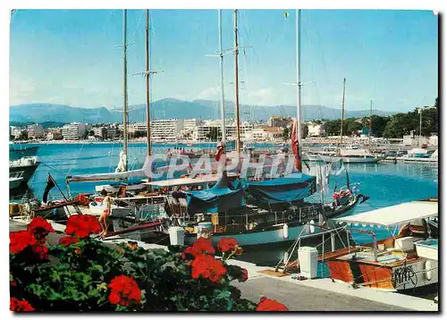 Cartes postales moderne La Cote d'Azur Antibes Juan les Pins Le Port de la Gallice Bateaux