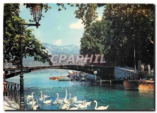 Cartes postales moderne Annecy (Haute Savoie) Le Pont des Amours Rendez vous sur le canal du Vasse