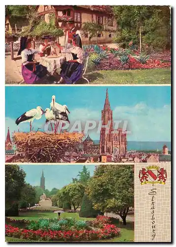 Cartes postales moderne Strasbourg