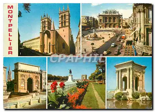 Cartes postales moderne Couleurs et Lumiere de la France Montpellier (Herault) Cathedrale Saint Pierre Place de La comed