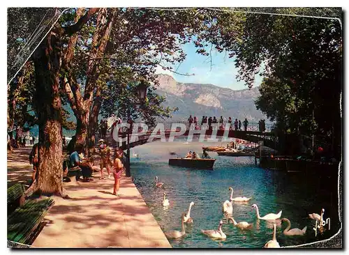 Cartes postales moderne Couleurs et Lumiere de la France Annecy (Haute Savoie) Le Pont des Amours dans le fond le Mont V