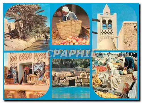 Cartes postales moderne Sud Tunisien Paysages et portraits