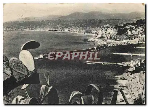 Cartes postales moderne Nice Le Port et la baie des anges