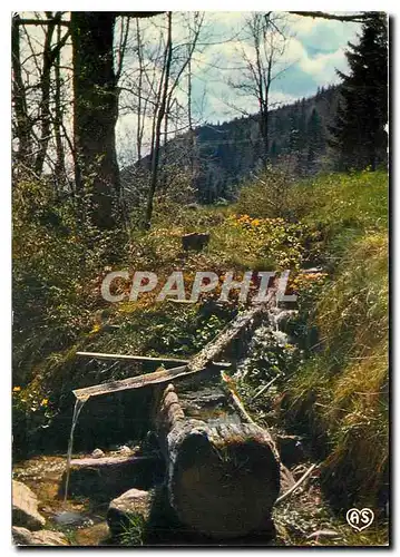 Cartes postales moderne En vous promenant en Franche Comte