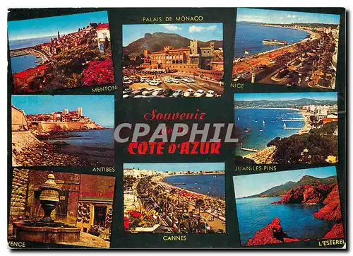 Cartes postales moderne Souvenir de la cote d'Azur