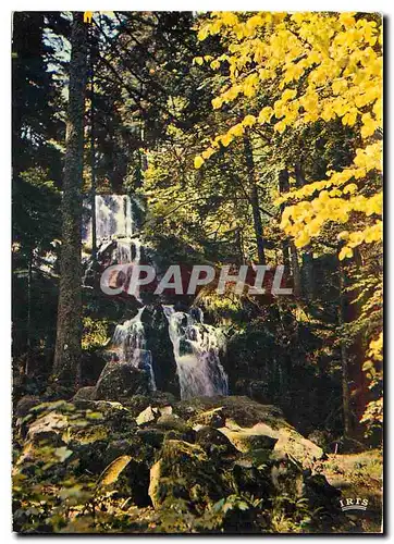 Cartes postales moderne Les Vosges Pittoresques Cascade de Tendon (Hauteur de la Chute 35 m)