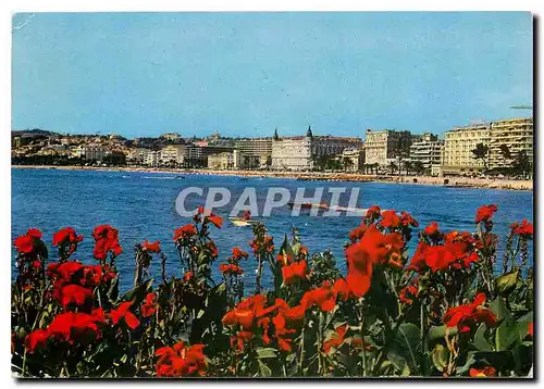 Cartes postales moderne Cannes Vue generale sur la Croisette