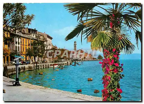 Cartes postales moderne Salo Lac de Garde Promenade au Lac