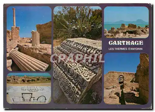 Cartes postales moderne Carthage les Thermes d'Antonin