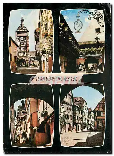 Cartes postales moderne Riquewihr (Haut Rhin) Le Dolder La Cour des Cigognes Rue des Juifs Porte du Dolder