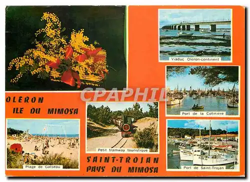 Moderne Karte Ile d'Orelon (Ch Mme) Ile du Mimosa Plage de Gatseau Petit Tramway Port de Saint Trojan Viaduc O