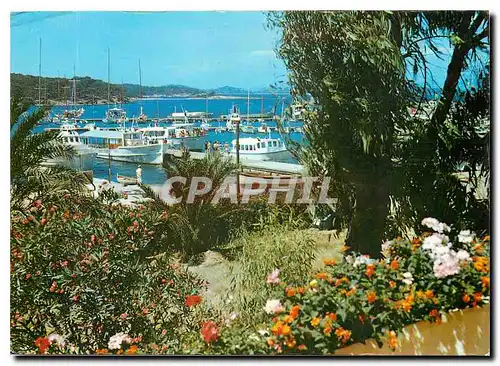 Cartes postales moderne Lumiere et Beaute de la Cote d'Azur Porquerolles Un coin du port