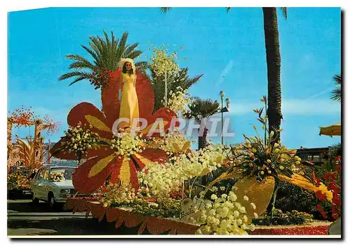 Cartes postales moderne Nice Cote d'Azur French Fiviera Bataille de Fleurs