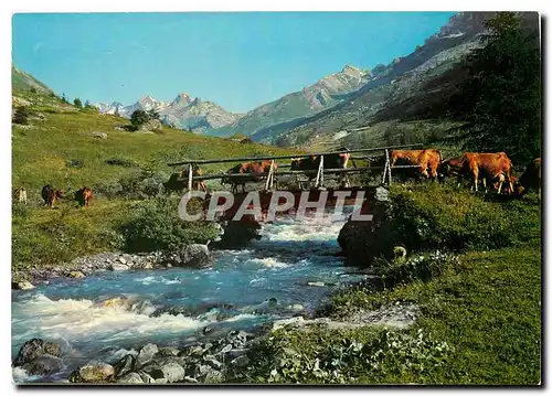 Cartes postales moderne Le Torrent la Guisane Vaches