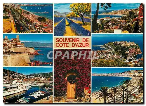 Moderne Karte Couleurs et Lumiere de France La Cote d'Azur Miracle de la Nature Souvenir de la Cote d'Azur