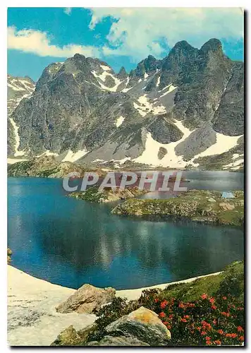 Cartes postales moderne Lac a truites en haute montagne
