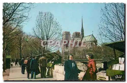 Cartes postales moderne Paris les Bouquinistes