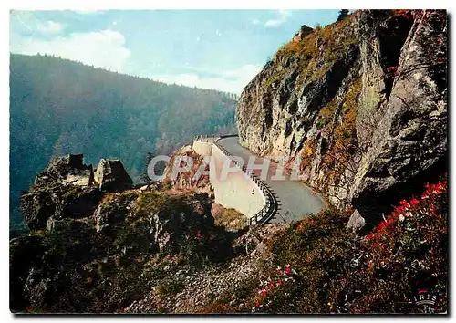 Cartes postales moderne Les Hautes Vosges La Schlucht (alt 1139 m) la route de Munster