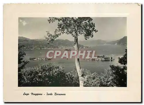 Cartes postales moderne Lago Maggiore Isole Borromee