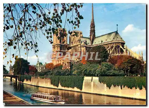 Cartes postales moderne Couleurs et Lumiere de France Paris Les bords de la Seine Notre Dame vue du quai de Montebello