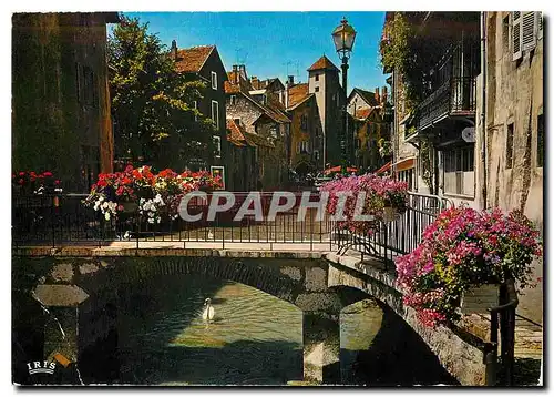 Cartes postales moderne Annecy La Venise Savoyarde les Vieux Quartiers canal du thiou et les quais