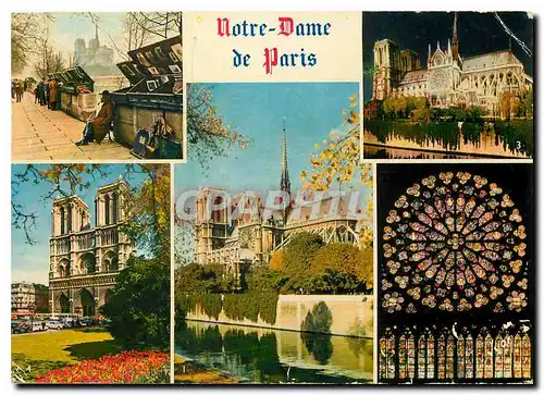 Cartes postales moderne Notre Dame de Paris