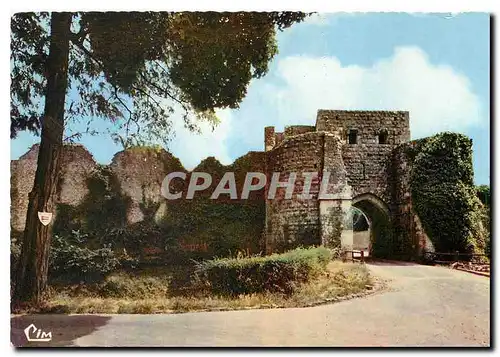 Cartes postales moderne Provins (S et M) La porte St Jean