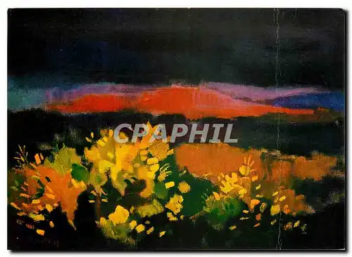 Cartes postales moderne Siegward Sprotte Stachelginster (OI)