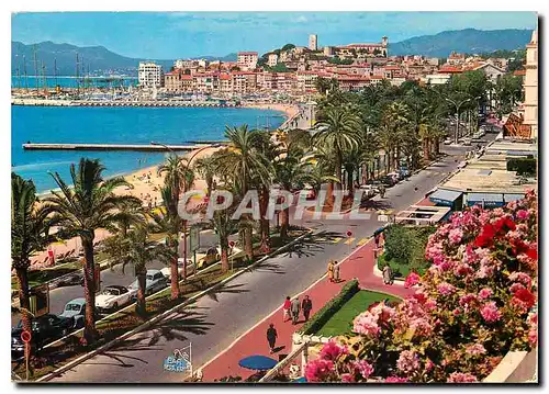 Cartes postales moderne Cannes Cote d'Azur French riviera