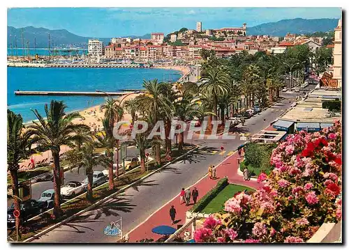 Moderne Karte Cannes Cote d'Azur French riviera