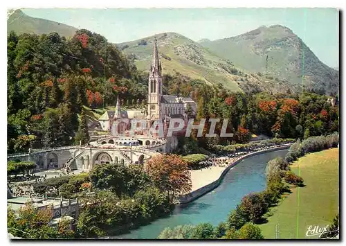 Cartes postales moderne Lourdes La Basilique et le Gave