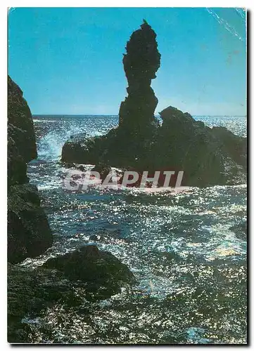 Cartes postales moderne Bellle Isle en Mer Locmaria Contre jour sur le Pilhor